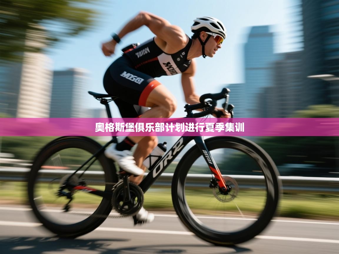 奥格斯堡俱乐部计划进行夏季集训 第1张