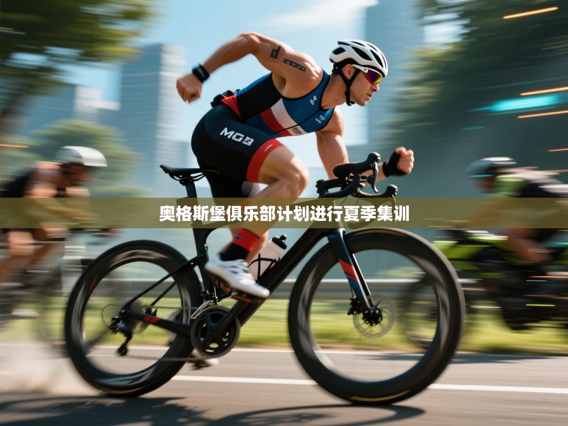 奥格斯堡俱乐部计划进行夏季集训 第2张