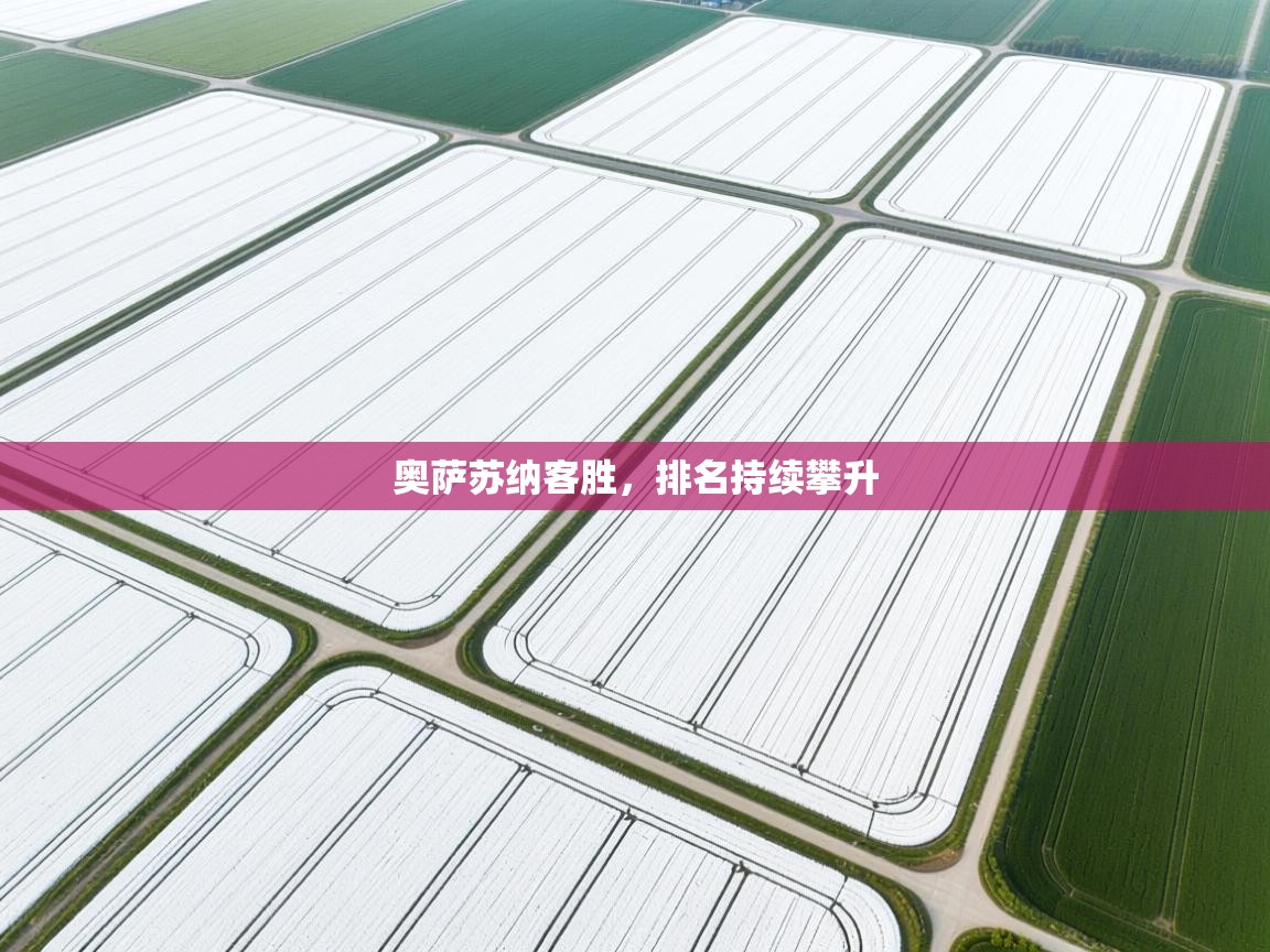 奥萨苏纳客胜，排名持续攀升  第2张