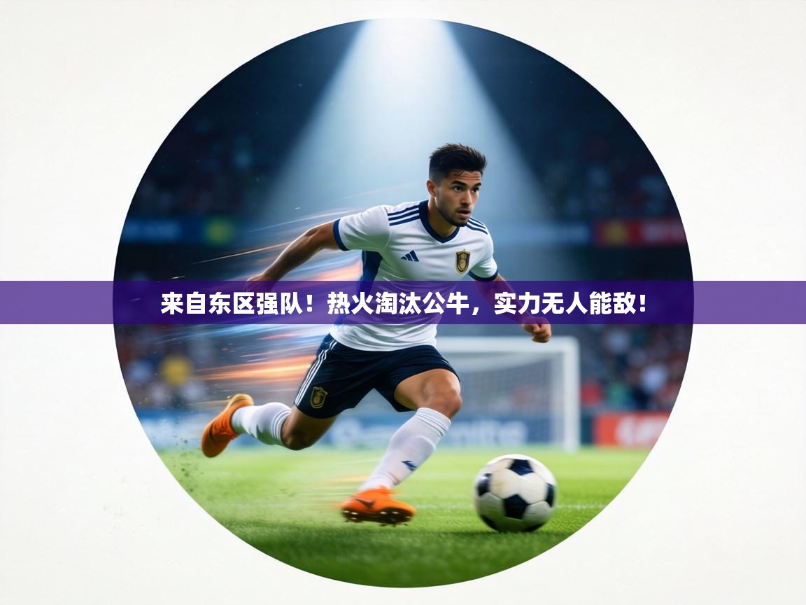 来自东区强队！热火淘汰公牛，实力无人能敌！  第1张