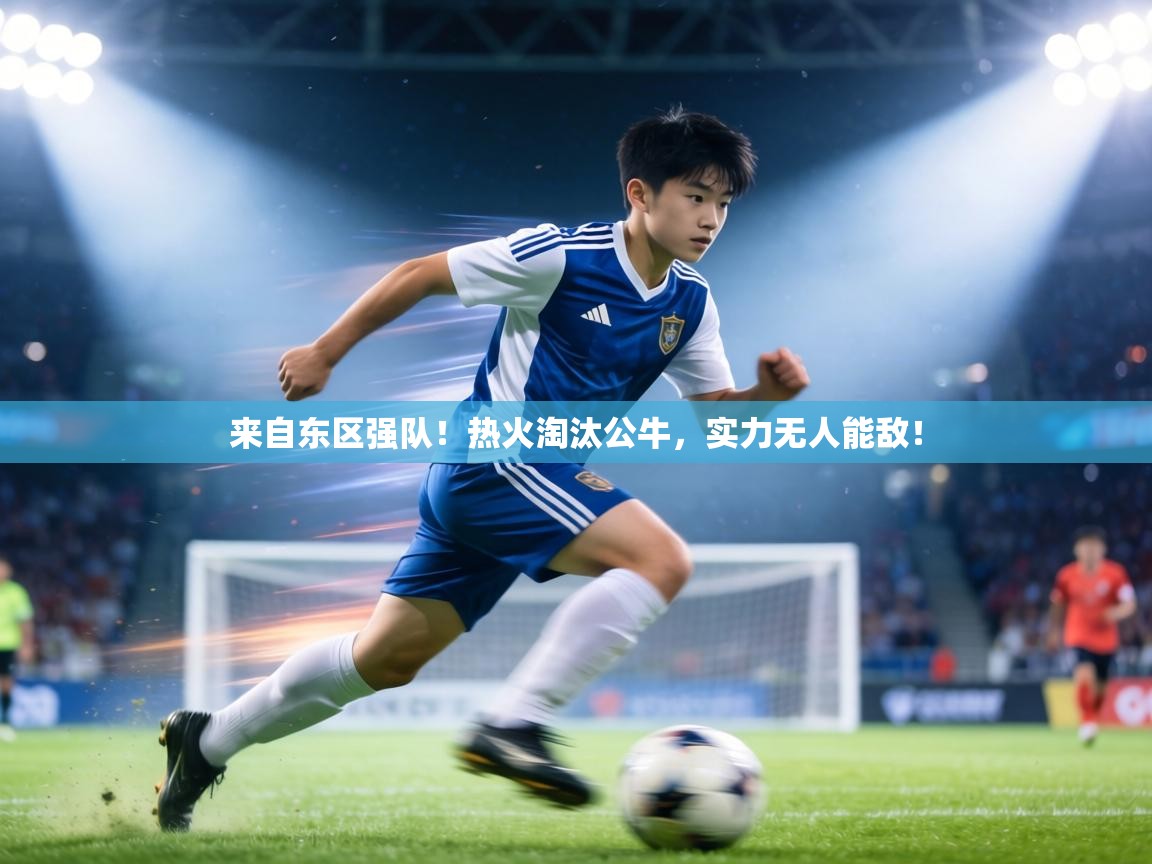 来自东区强队！热火淘汰公牛，实力无人能敌！  第2张